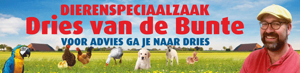 Banner-Dries-van-de-Bunte