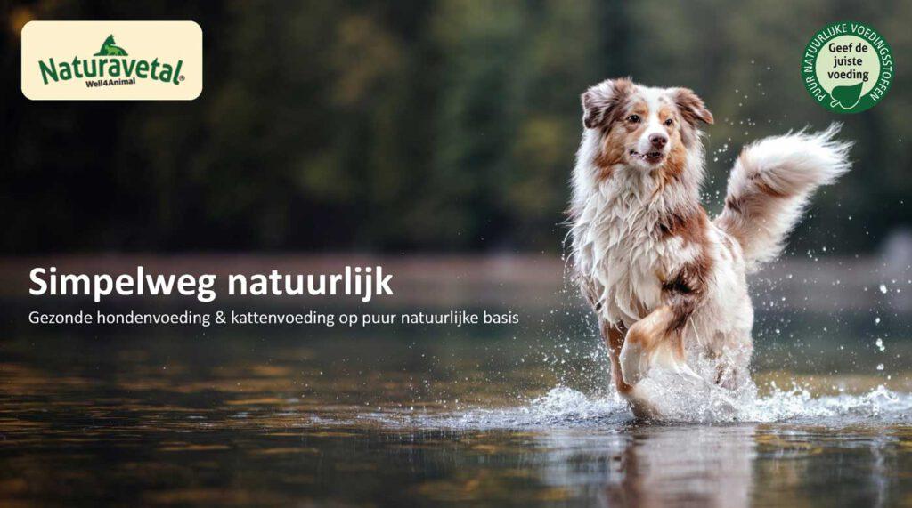 Wanneer de hond diarree heeft – Oorzaken en voeding tips 3 Banner NaturaVetal TowRes Dierwijzer