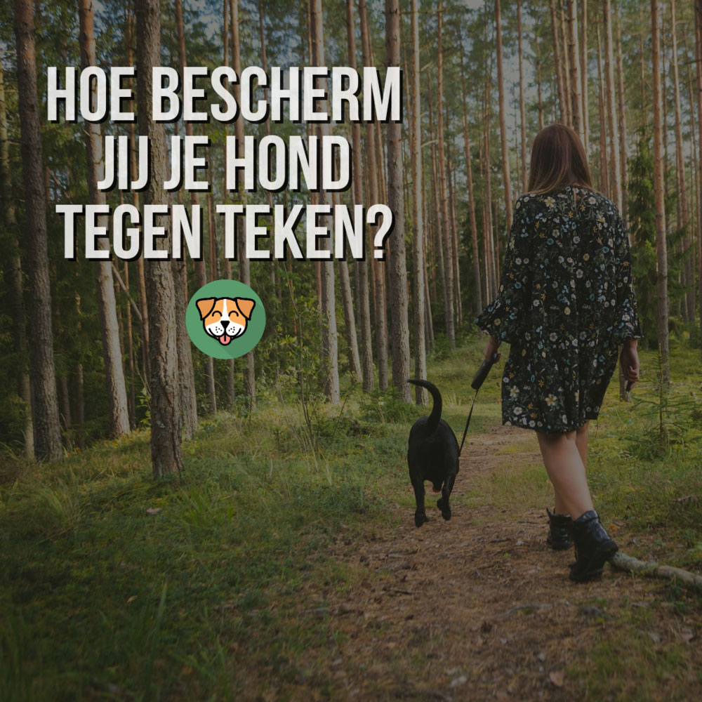 Ook Dog-Essentials is te vinden op Dierwijzer.nl
