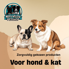 Instagram bericht Voor hond kat 240 x 240 Dierwijzer