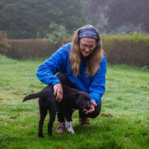 Bandit Dierenvoeding 55 800x800 1 Dierwijzer