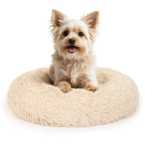 PP G DHM B 60 1.jpg Dierwijzer