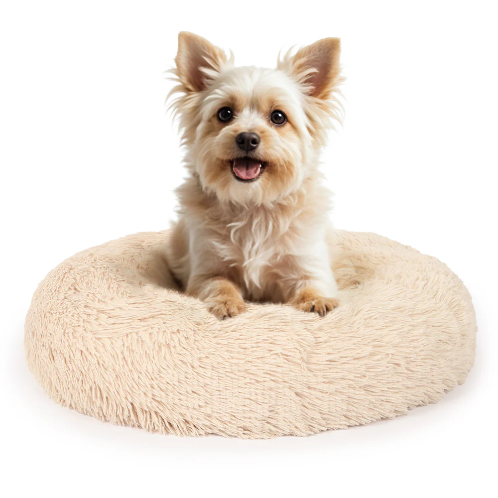 Hoe kies je de juiste hondenmand voor je huisdier 2 PP G DHM B 60 1.jpg Dierwijzer