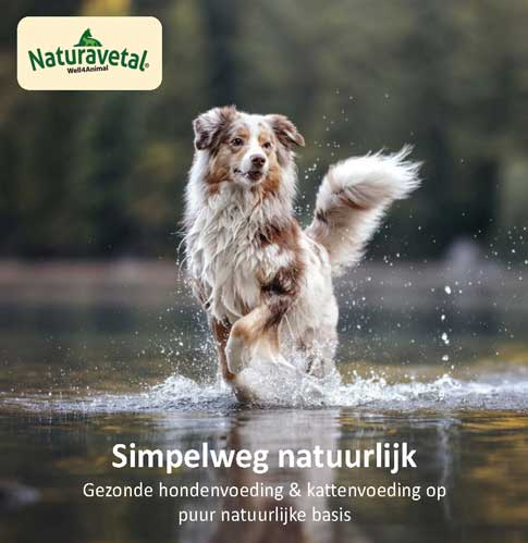 Wanneer de hond diarree heeft – Oorzaken en voeding tips 8 Vierkante NaturaVetal LowRes Dierwijzer